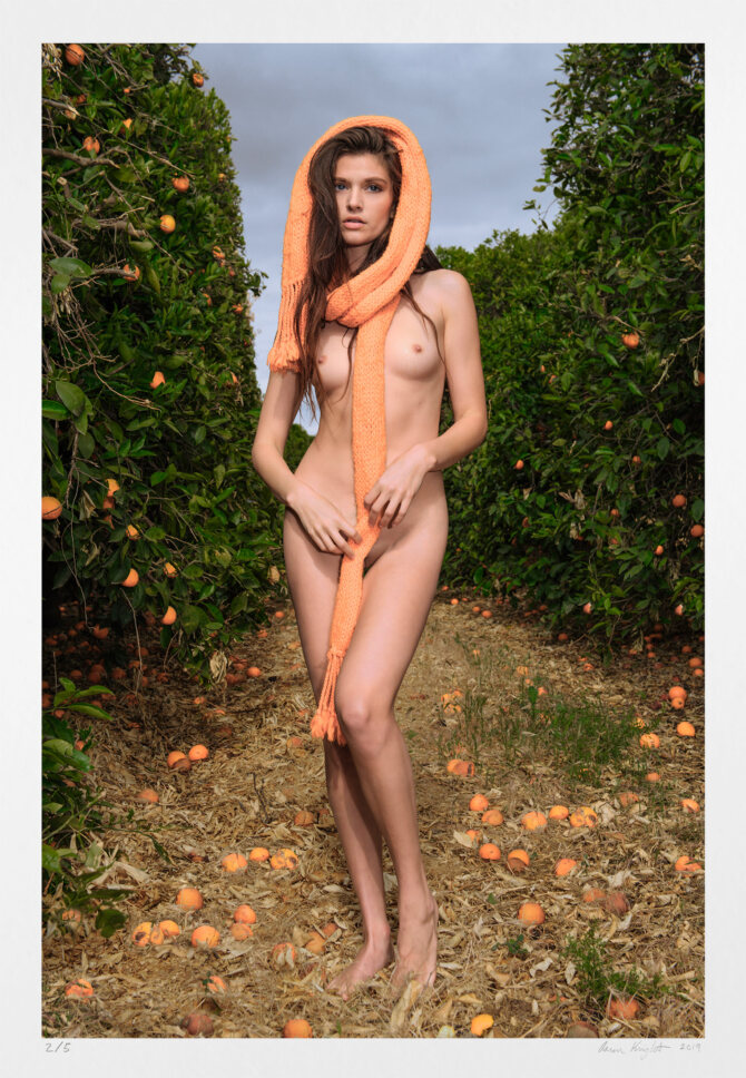 Contemporary erotic photography "Orange Grove" original artwork