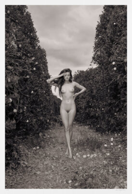 Contemporary black and white nude art photograph limited edition