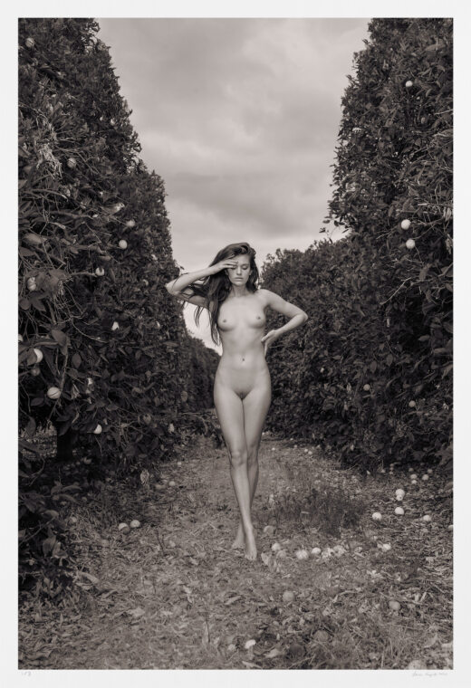 Contemporary black and white nude art photograph limited edition