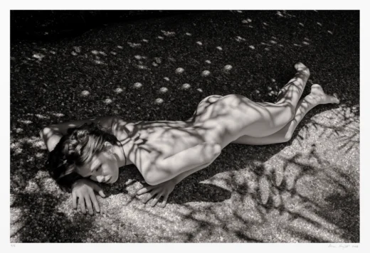 Collect Black and White Nudes | Original limited edition photo