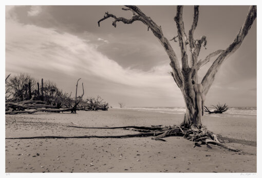 Sepia-toned landscape nude photography original fine art