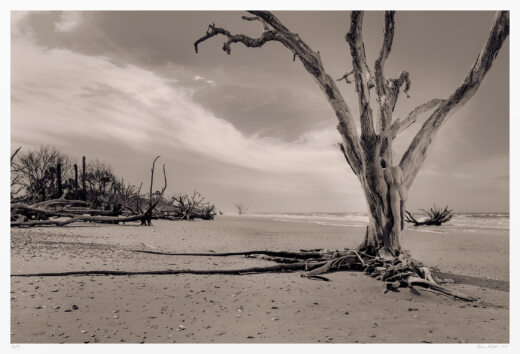 Sepia-toned landscape nude photography original fine art