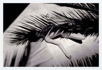Classic black and white nude art. Woman tropical palm shadow