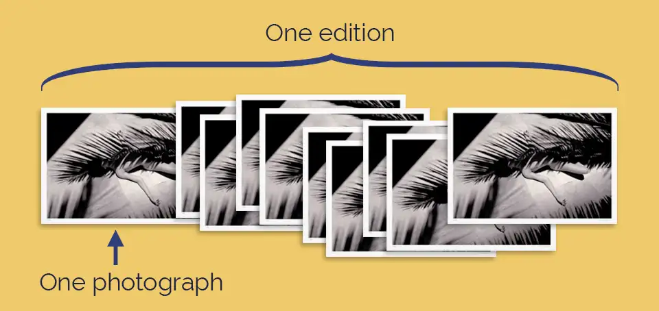 Buy limited edition photography direct from the artist's studio
